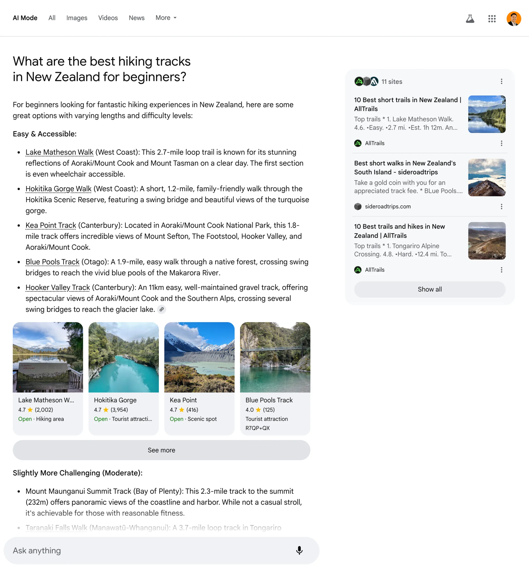  Asking Google AI Mode 