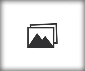 inline-rectangle-300x250